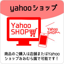 掛川のお茶　大村園　yahooインターネットショップ